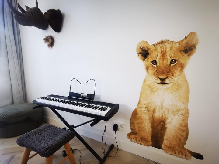 Foto 54 van Oswald Wenckebachstraat 16