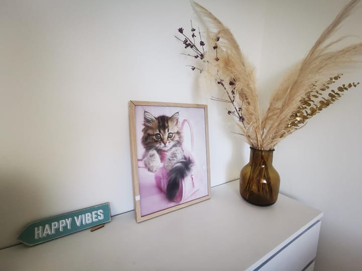 Foto 61 van Oswald Wenckebachstraat 16