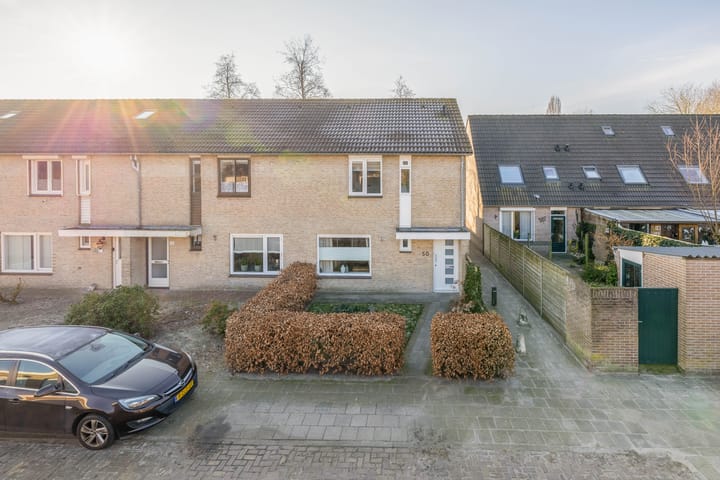 Foto 1 van Kaardebol 50