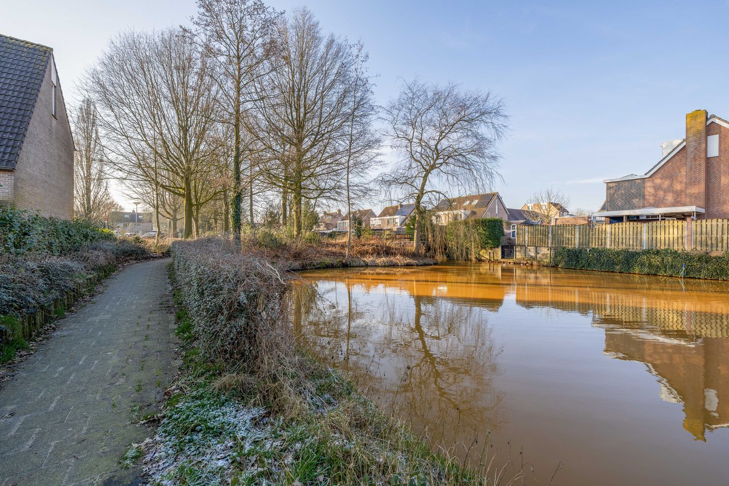 Foto 29 van Kaardebol 50