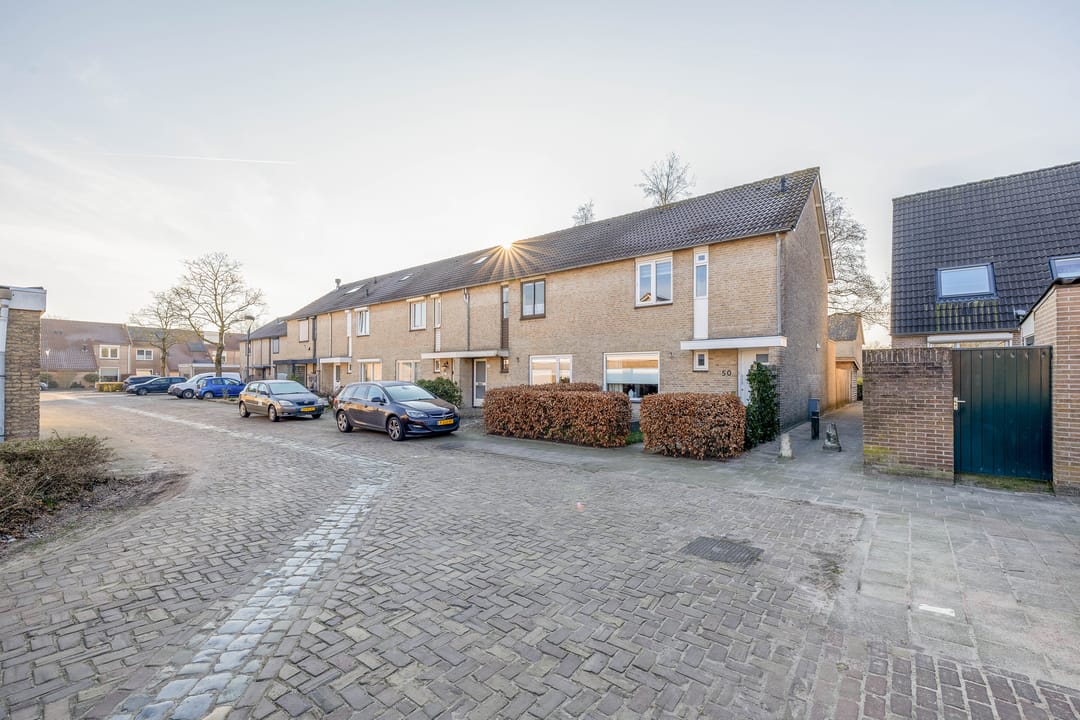 Foto 2 van Kaardebol 50