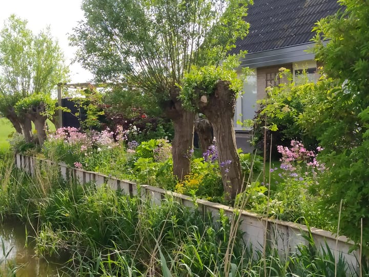 Foto 38 van Pompsloot 4