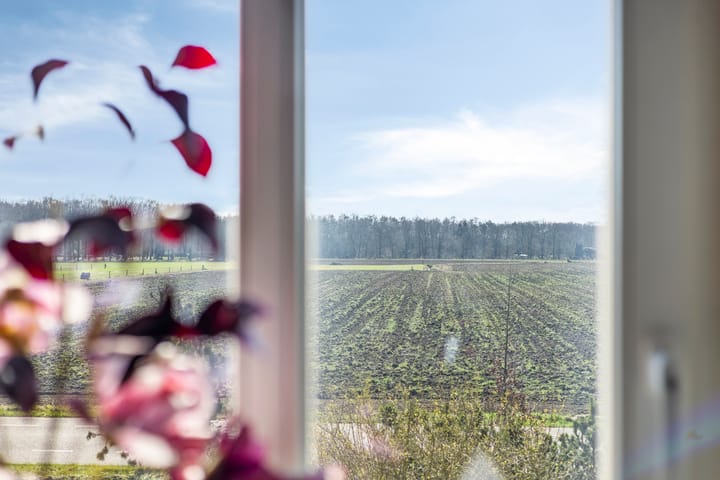 Photo 35 of Steengroeveweg 29