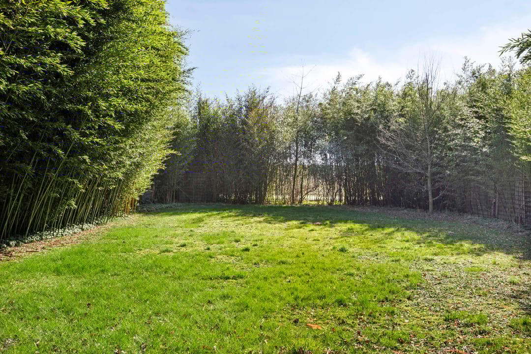 Foto 46 van Steengroeveweg 29