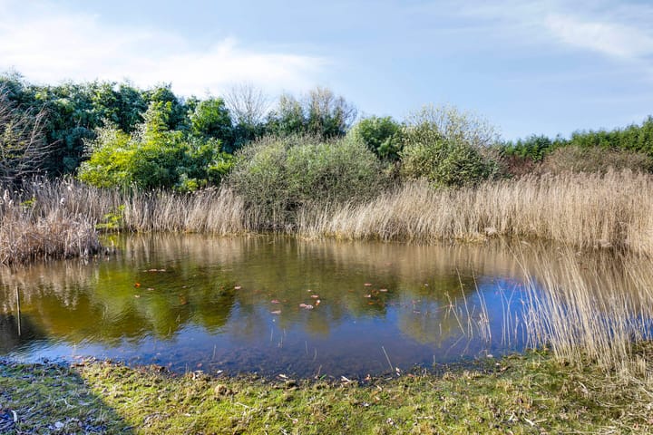 Photo 50 of Steengroeveweg 29