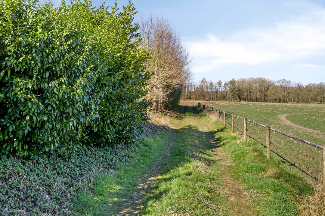 Foto 52 van Steengroeveweg 29