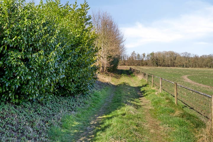 Photo 52 of Steengroeveweg 29