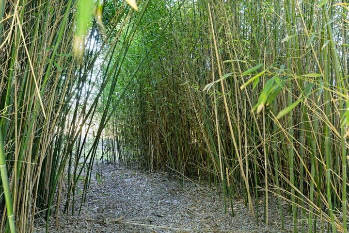 Photo 53 of Steengroeveweg 29