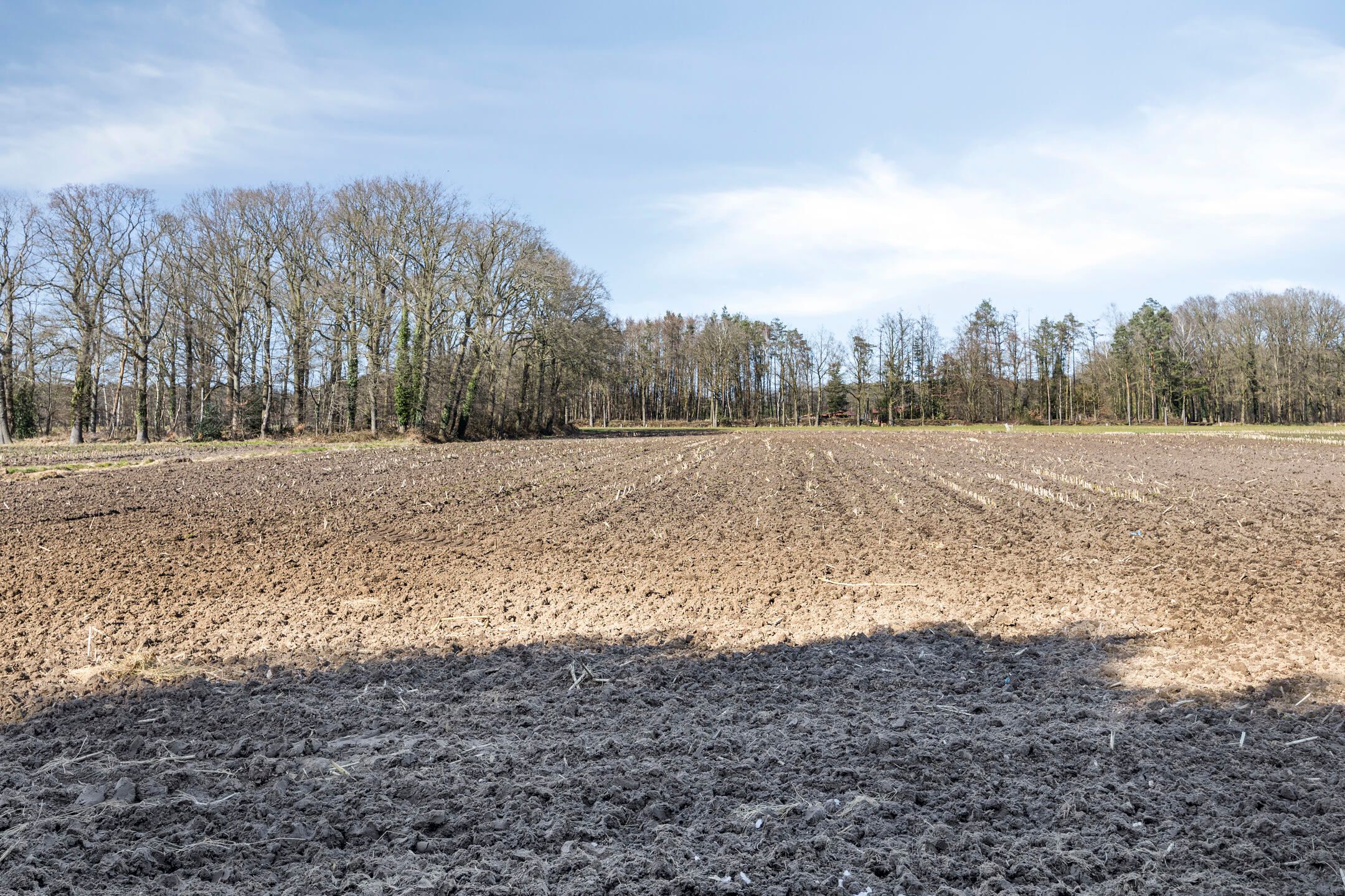 Foto 54 van Steengroeveweg 29