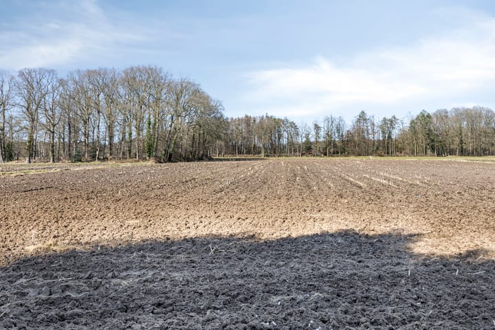 Photo 54 of Steengroeveweg 29