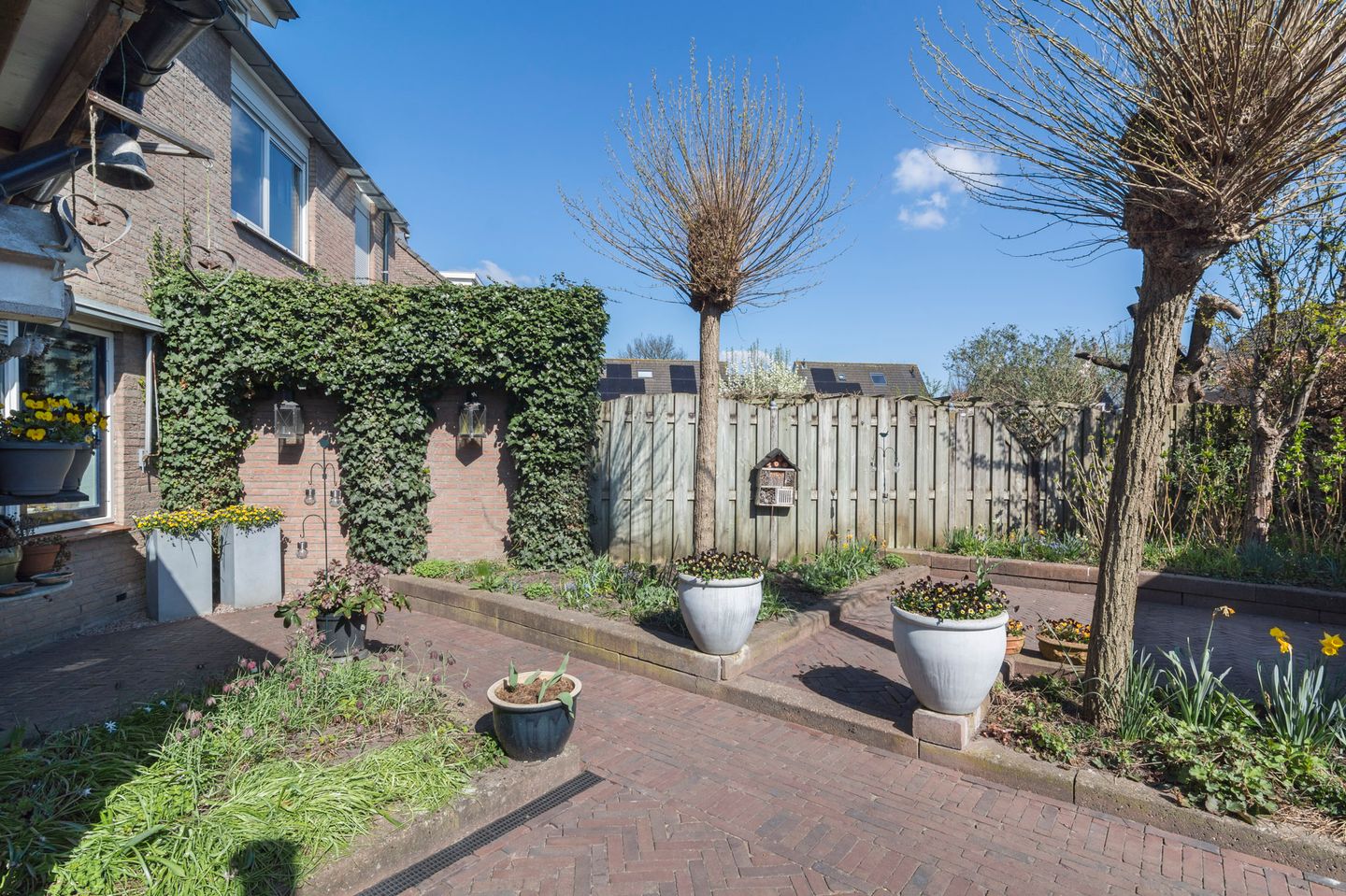 Foto 35 van Hoveniersberg 97