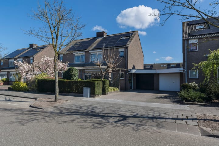 Foto 43 van Hoveniersberg 97