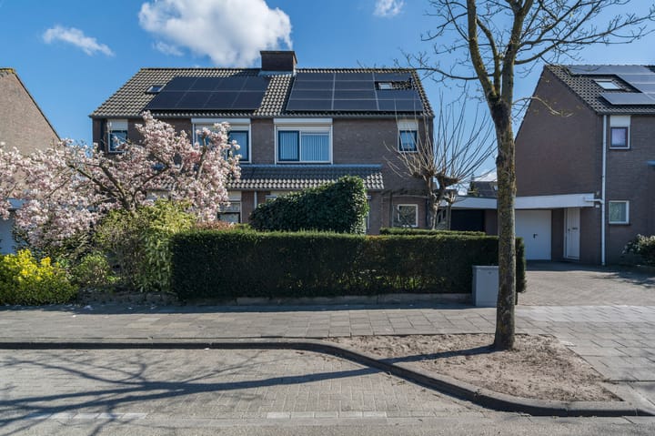 Foto 44 van Hoveniersberg 97