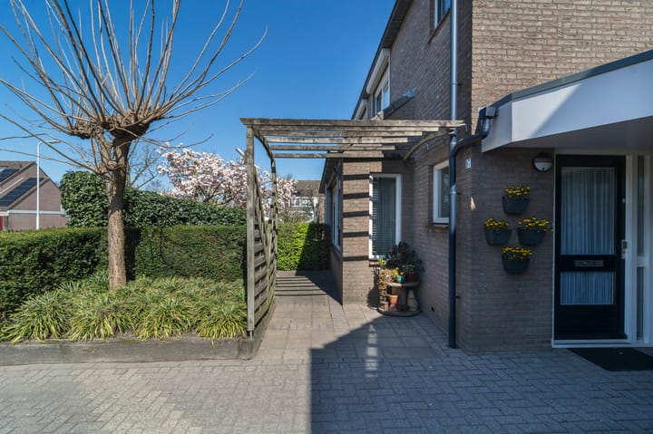 Foto 46 van Hoveniersberg 97