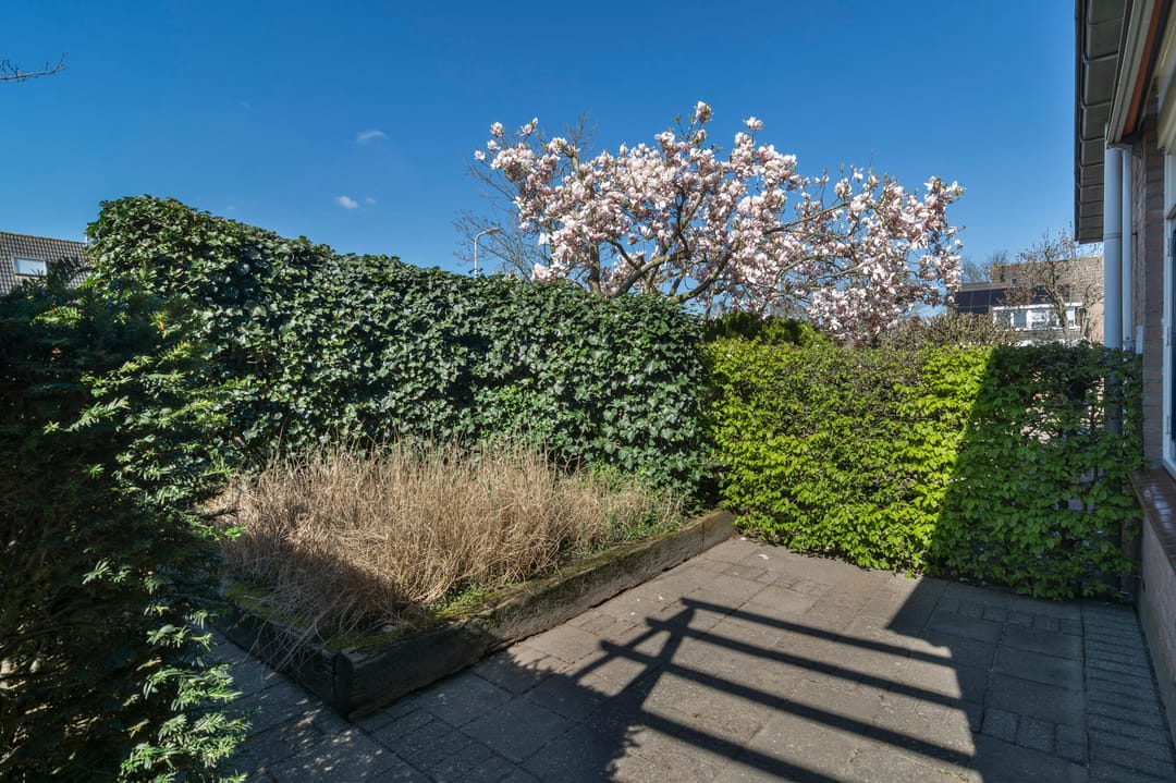 Foto 47 van Hoveniersberg 97