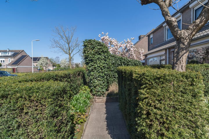 Foto 50 van Hoveniersberg 97