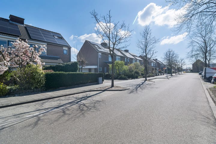 Foto 52 van Hoveniersberg 97