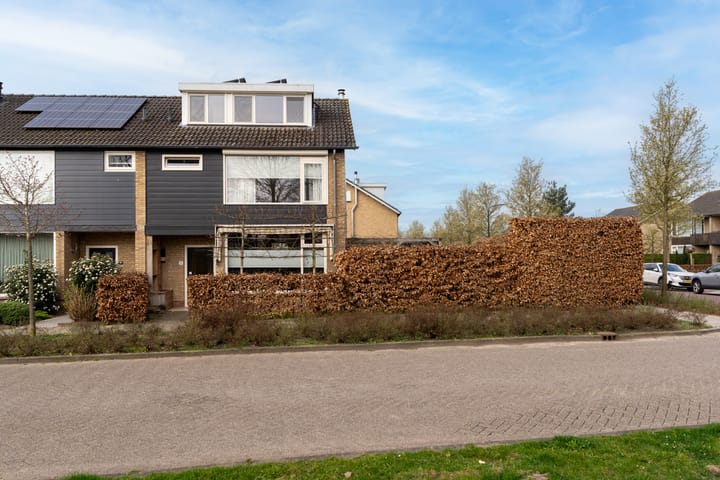 Foto 1 van Dokter Oosteromstraat 14