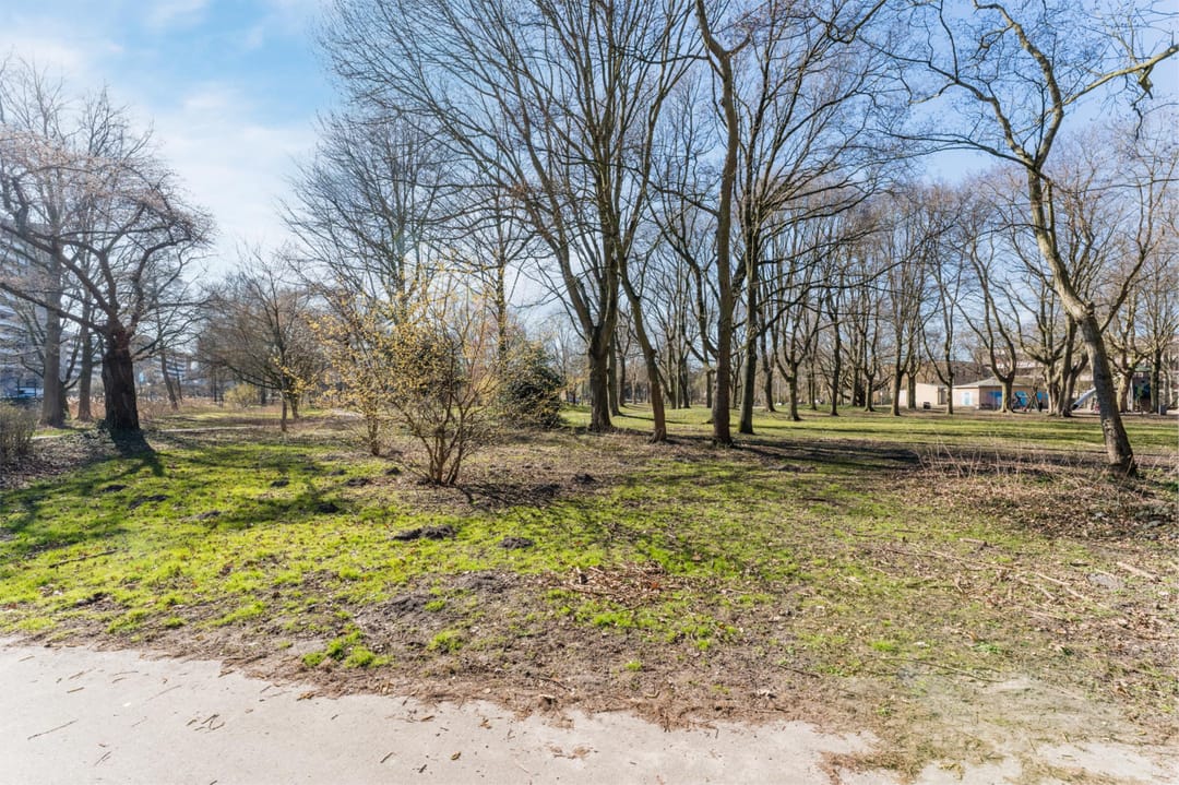 Photo 43 of Kornalijnhorst 202