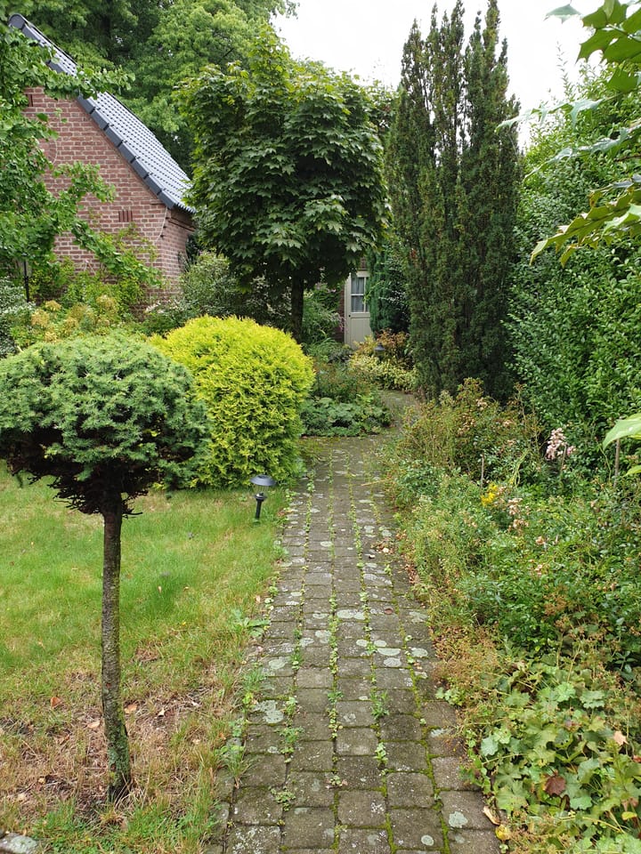 Foto 26 van Griendstraat 45