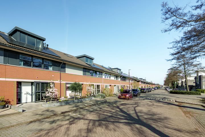 Photo 2 of Herman de Manhove 88