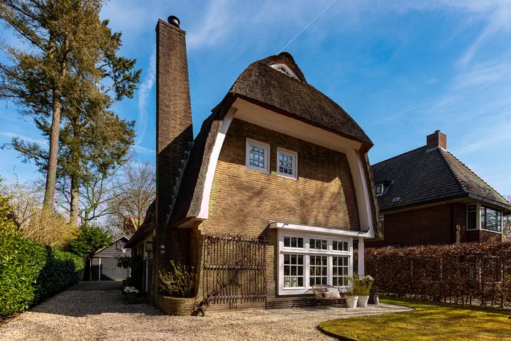 Vondellaan 55