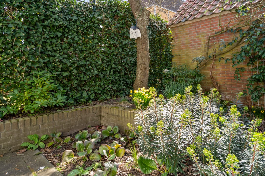 Foto 17 van Oude Eekmolenweg 34