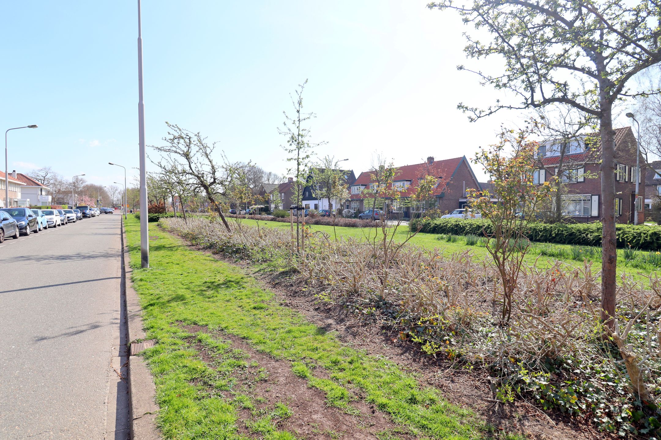 Foto 33 van Hortensialaan 5