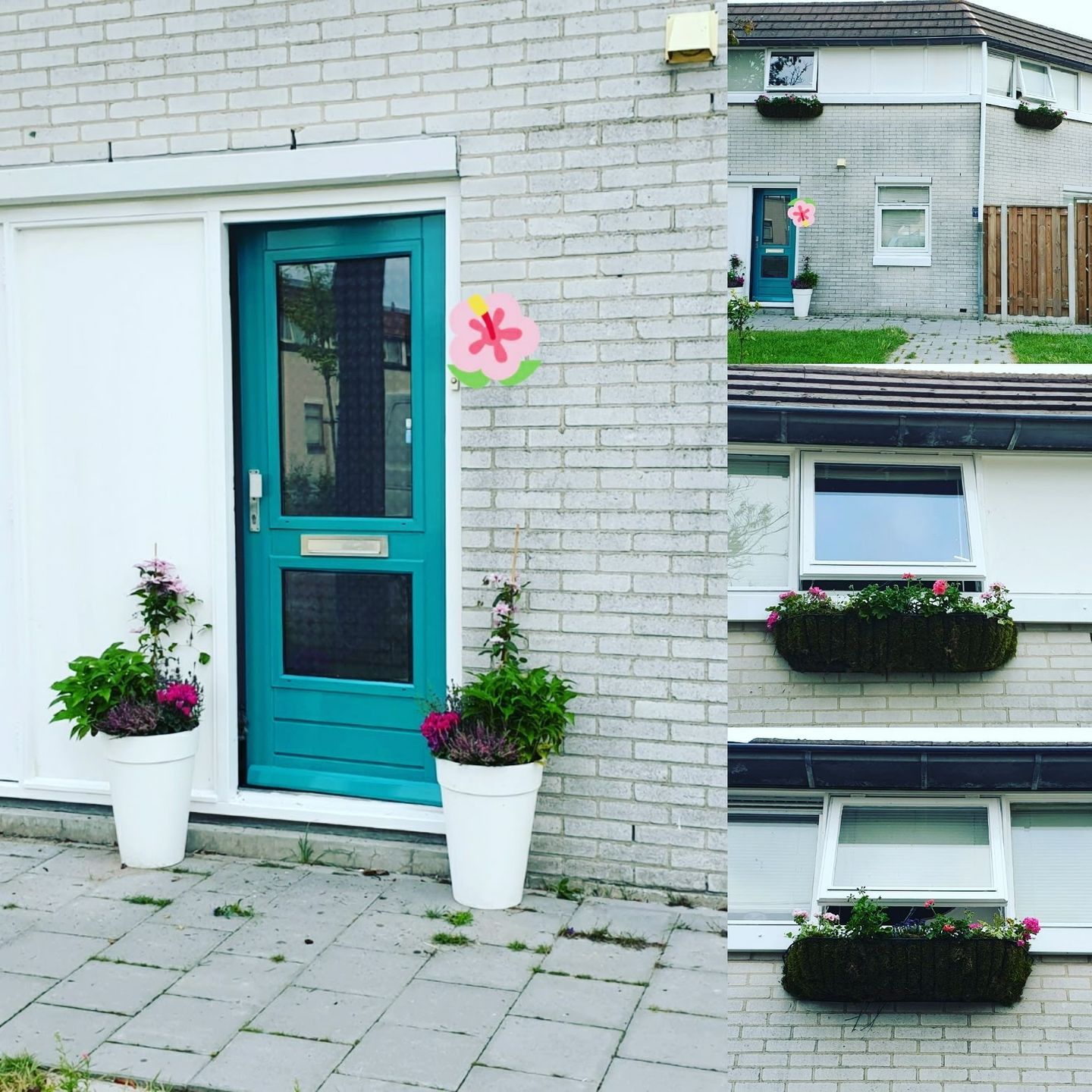 Foto 1 van Galjoen 20 67