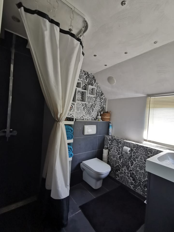 Foto 3 van Galjoen 20 67