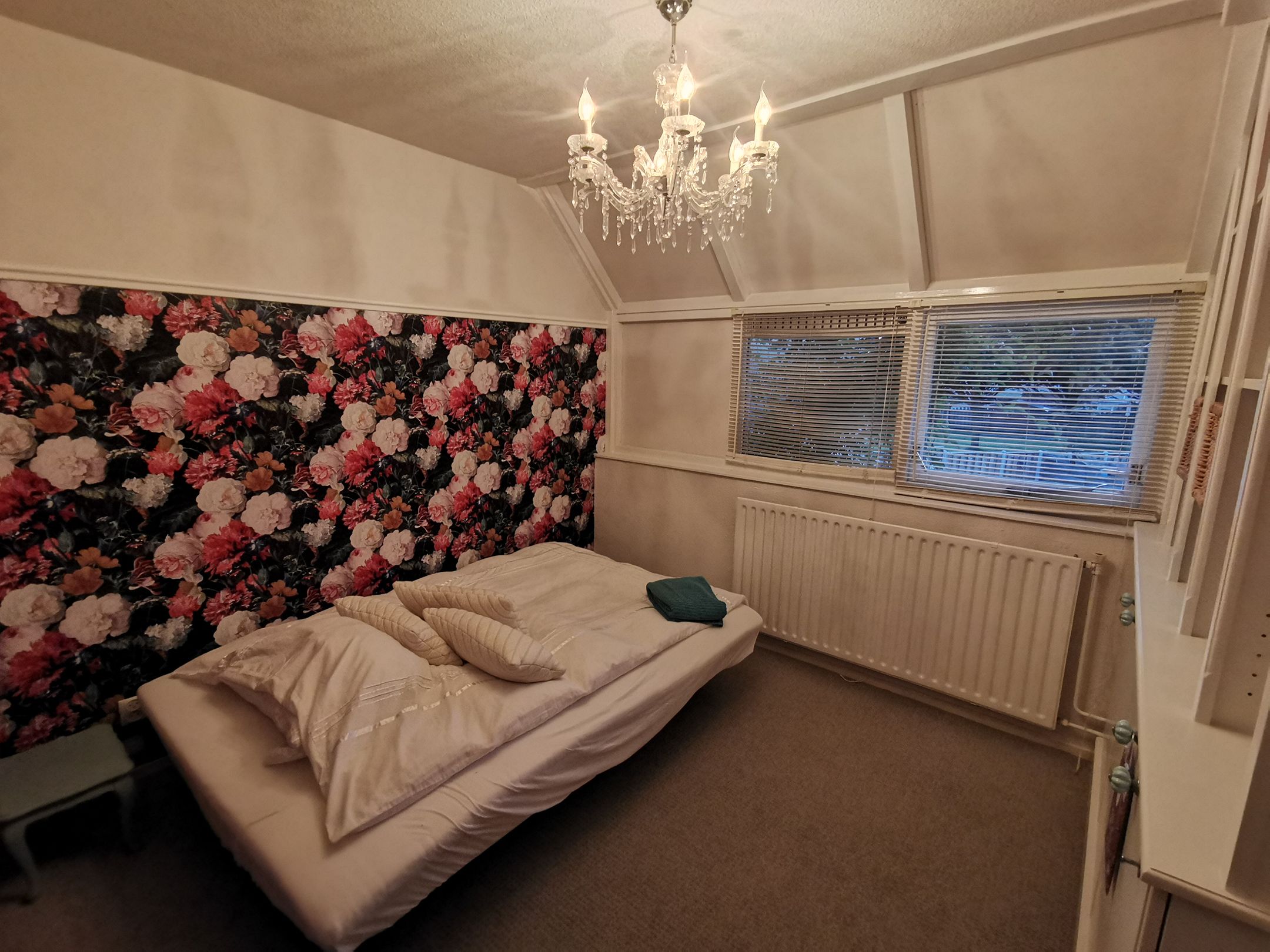 Foto 24 van Galjoen 20 67