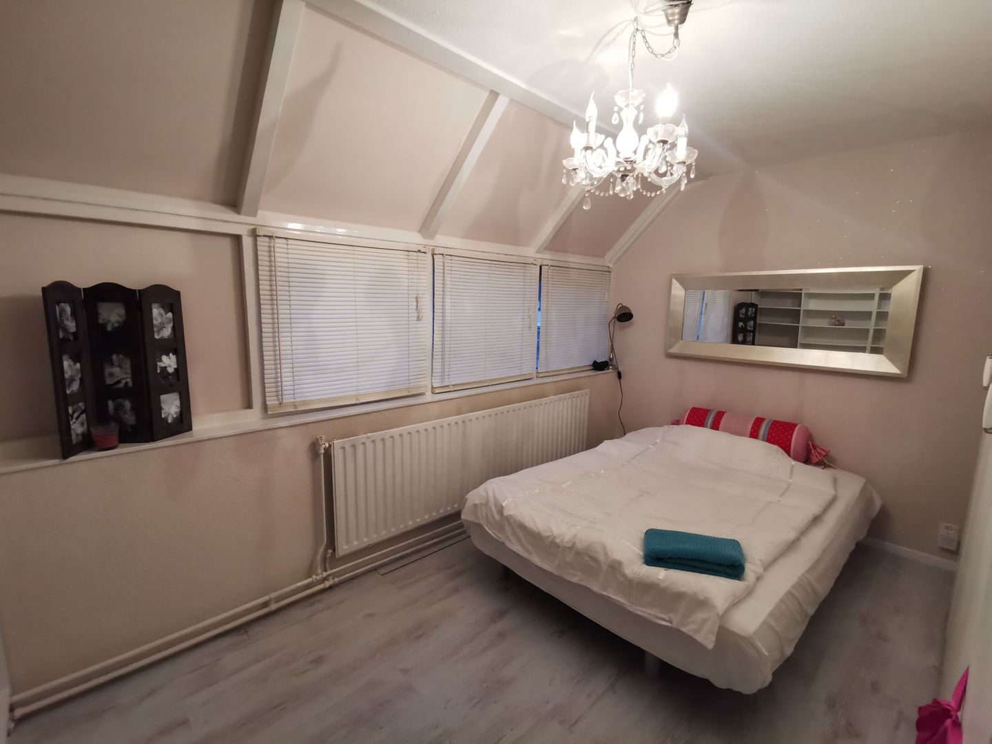 Foto 29 van Galjoen 20 67