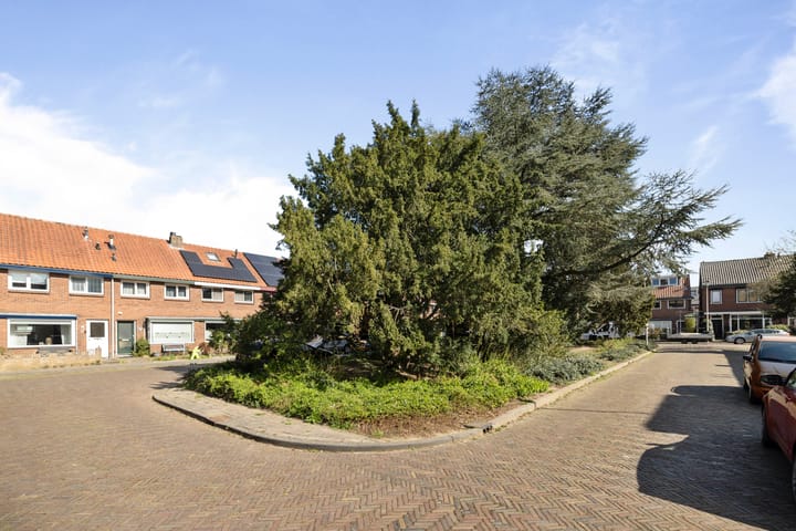 Foto 28 van Gerard Doustraat 23