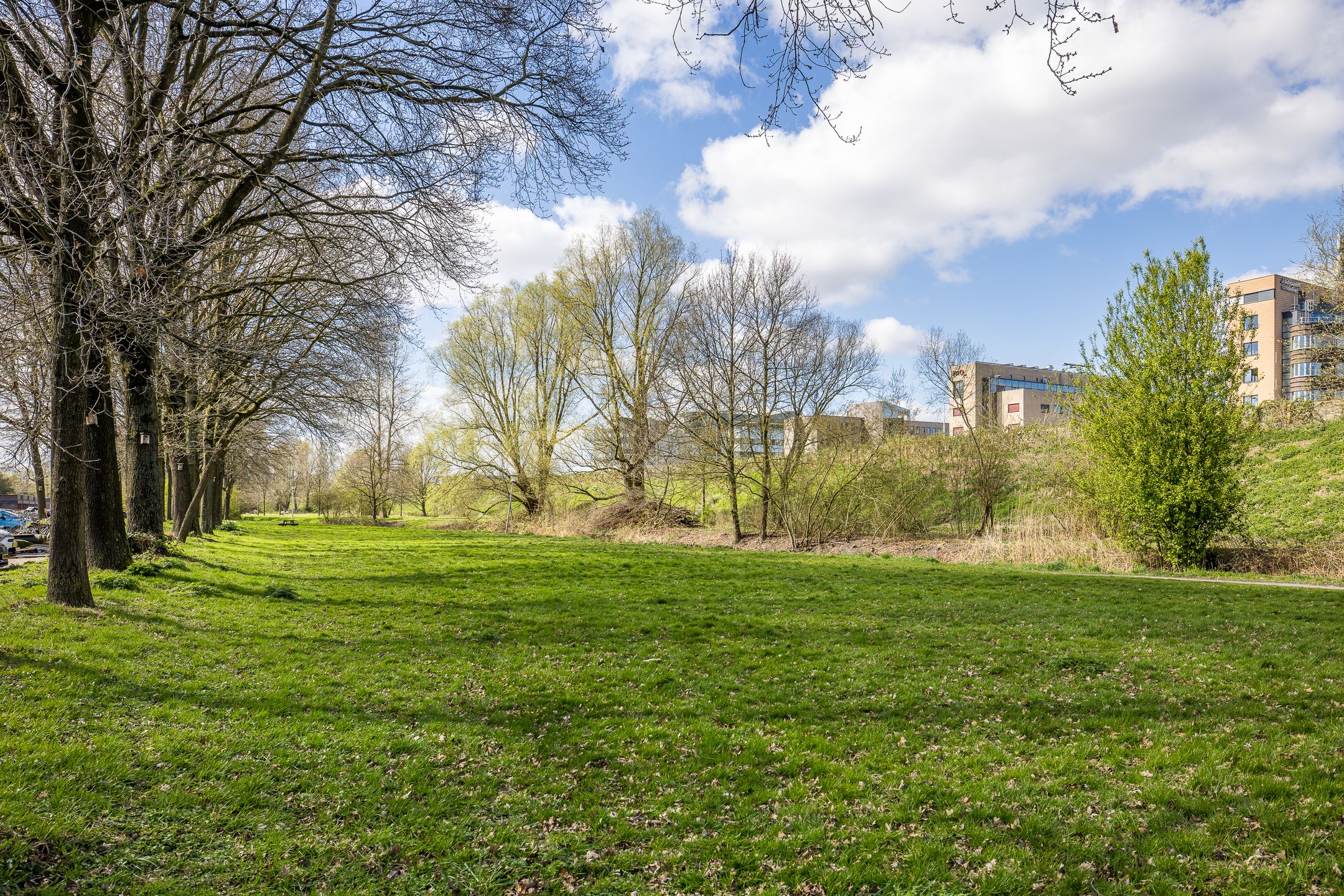 Foto 48 van Eduard Verkadelaan 159