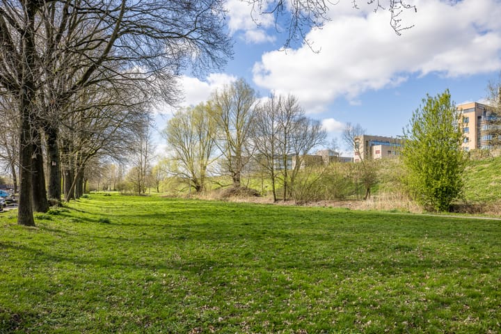 Foto 48 van Eduard Verkadelaan 159