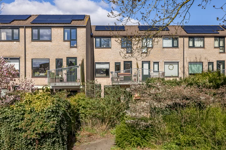 Foto 49 van Eduard Verkadelaan 159