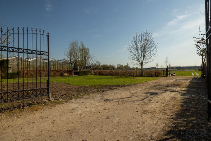 Foto 2 van Duizendmorgen