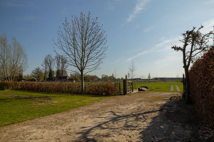 Foto 5 van Duizendmorgen