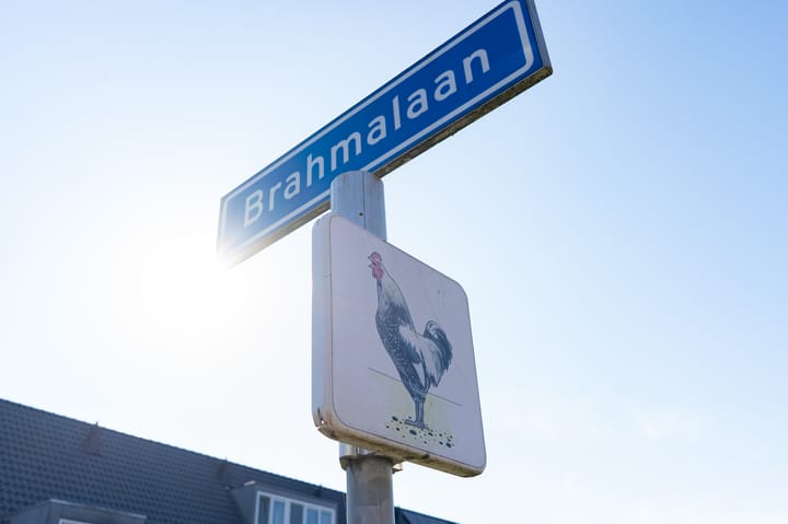 Foto 43 van Brahmalaan 62