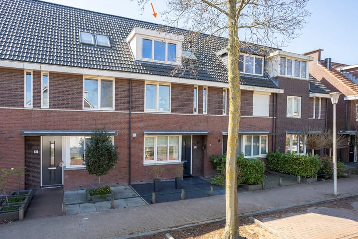 Foto 2 van Gouden Uillaan 49