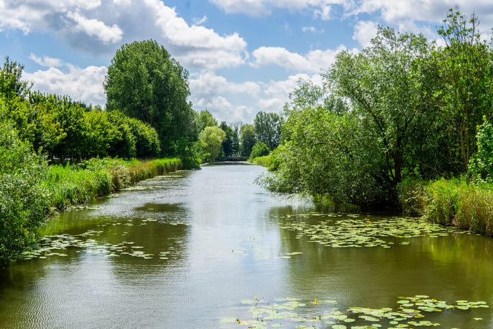 Foto 22 van Simplonbaan 150