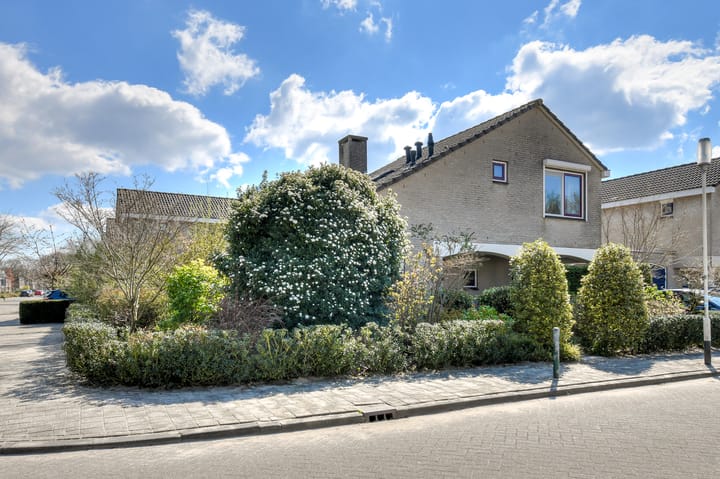 Foto 50 van Twaalfbunder 9