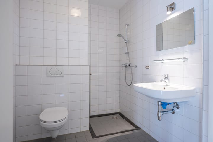 Foto 7 van Dokter Poelsstraat 1-A