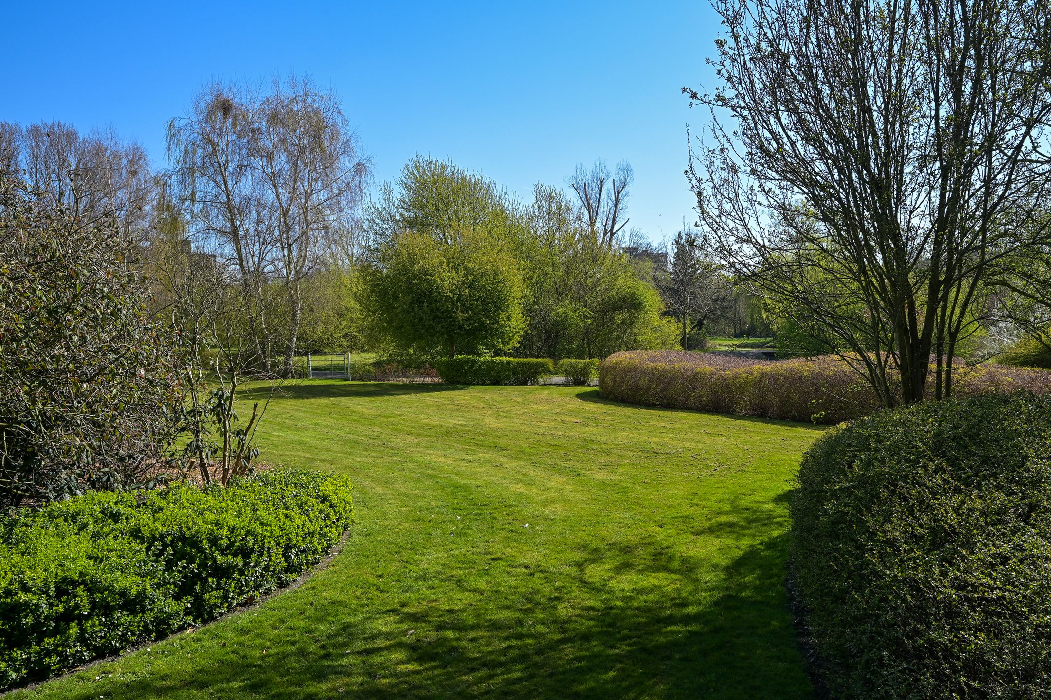 Foto 12 van Goudenregenstraat 311