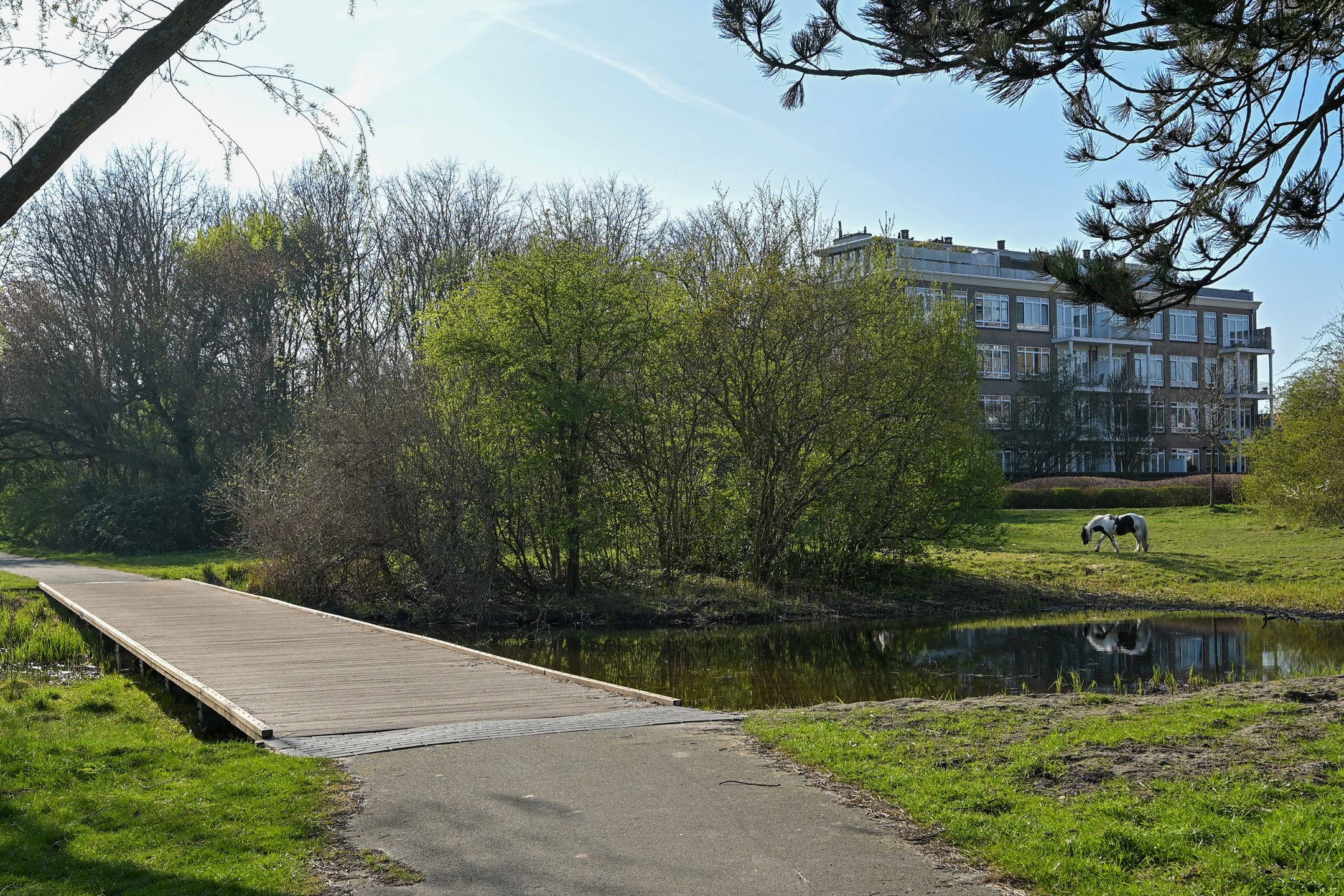 Foto 21 van Goudenregenstraat 311