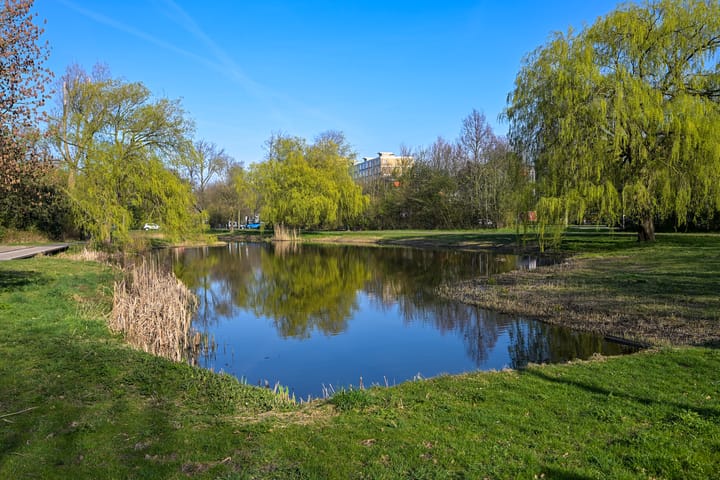 Foto 22 van Goudenregenstraat 311