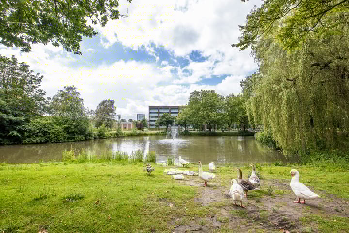 Foto 31 van Linschotensingel 1-HA