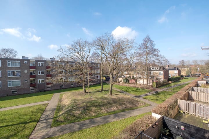 Foto 51 van Nicolaas Beetsstraat 65