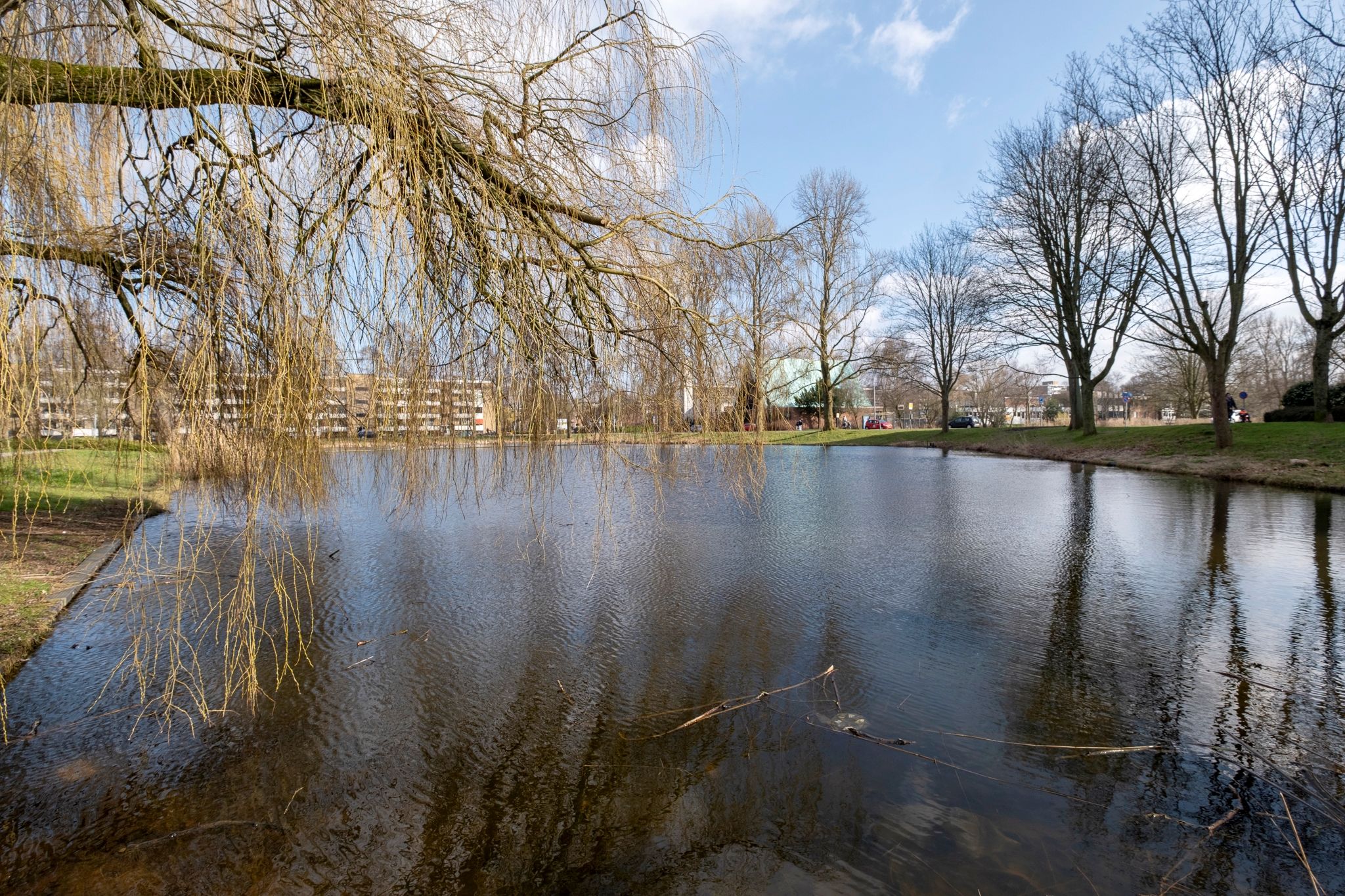 Foto 54 van Nicolaas Beetsstraat 65