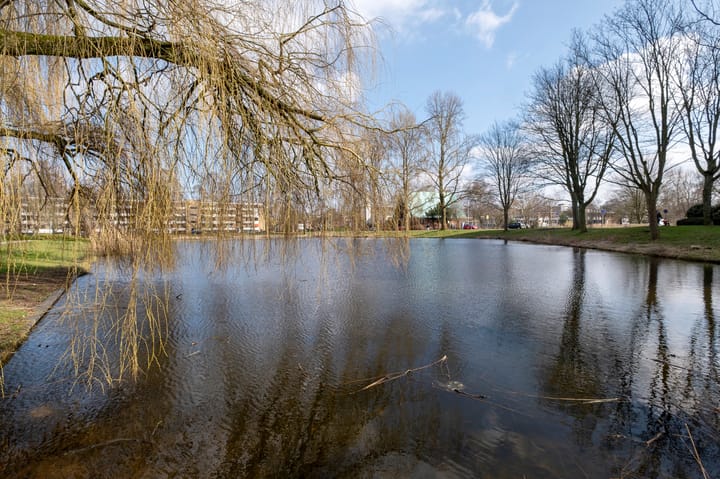 Foto 54 van Nicolaas Beetsstraat 65